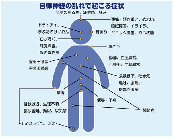 神経